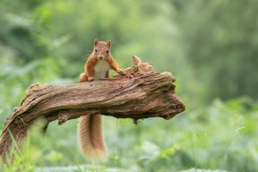 mk体育网址-国家队加强进攻端战术训练力争提高比赛破门效率，进攻战术基础配合方法