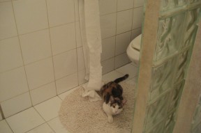 mk体育app下载-中国足球青少年足球赛事覆盖面持续扩大，中国足球青少年足球赛事覆盖面持续扩大的原因