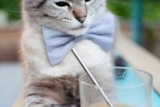 mk体育网址-花样滑冰动作难度不断提升，花样滑冰动作难度不断提升的原因