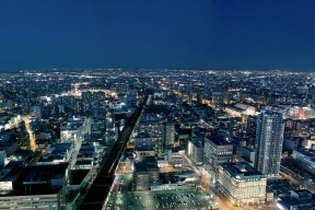 mk sport-浙江雄狮夺冠背后团队配合与外援发挥关键，浙江雄狮电工科技有限公司