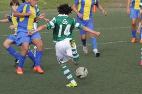 mk体育登录-国家体育场运营中心发布暑期开放时间公告，国家体育场百度百科