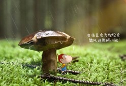 mk体育平台网页版入口-国际足球界积极推行绿色场馆，环保理念逐步落地，绿色的足球场