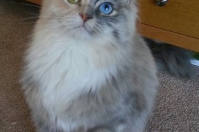 mk体育平台网页版入口-划频波动最小选手表现稳定，频率与划距的关系