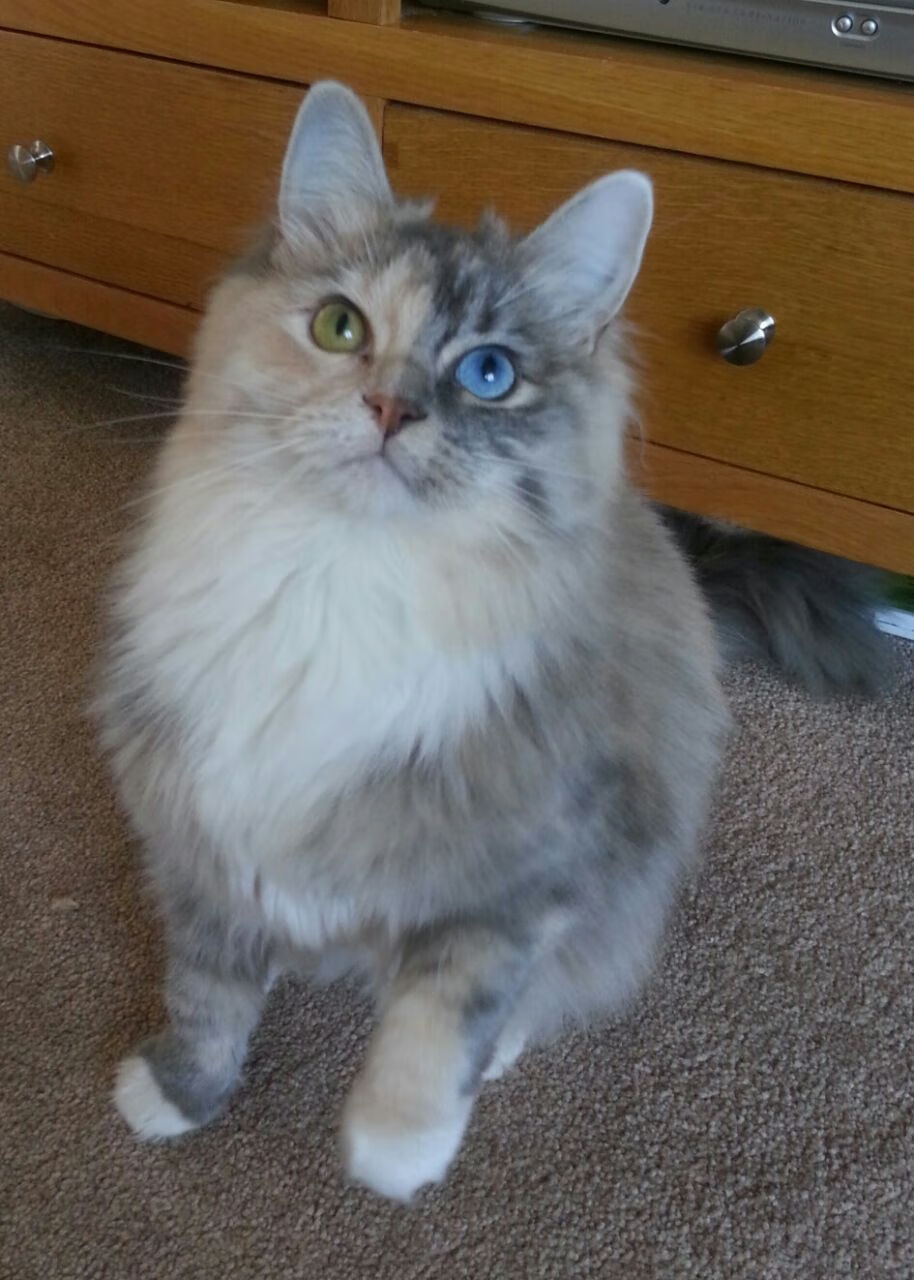 划频波动最小选手表现稳定,频率与划距的关系