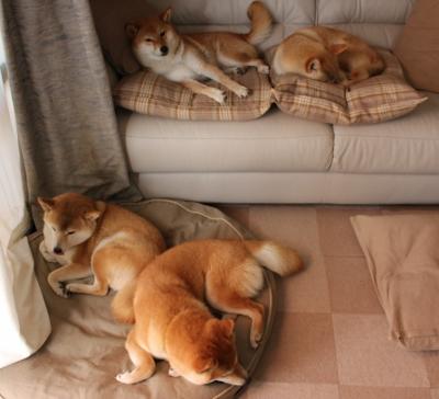 如何看待中超在亚冠联赛中的逆袭，中超亚冠参赛队