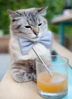 花样滑冰动作难度不断提升，花样滑冰动作难度不断提升的原因