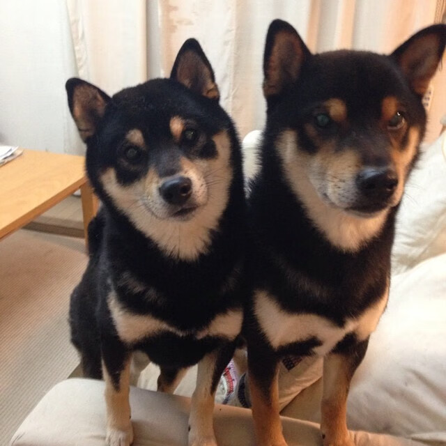 中超冬季转会更注重实际需求减少盲目引援，中超冬歇期多长时间