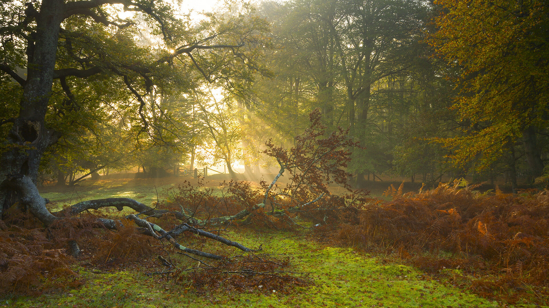 9个月宝宝误饮白酒冲奶粉,妈妈称孩子目前无异常,九个月宝宝喝酒